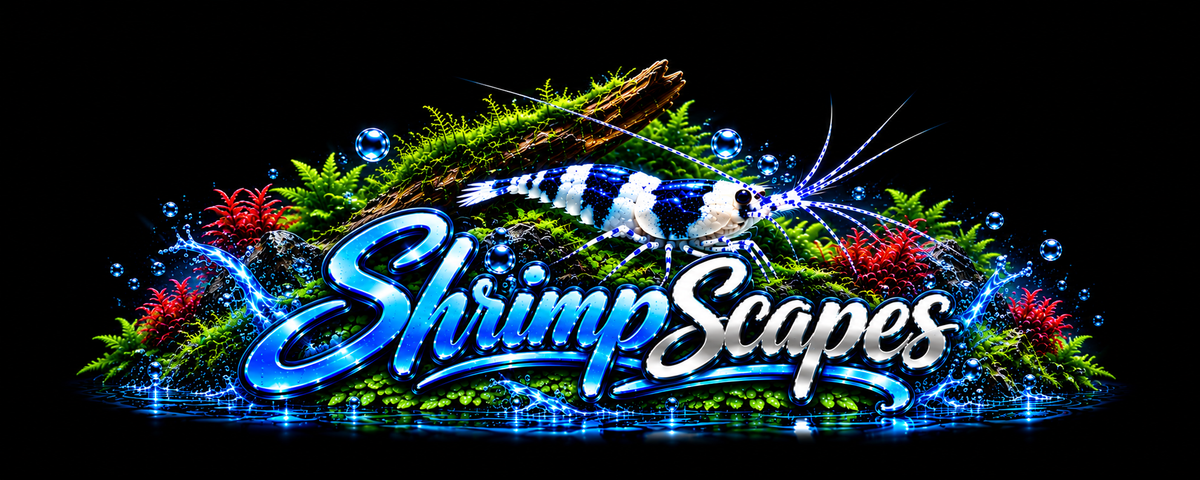 ShrimpScapes